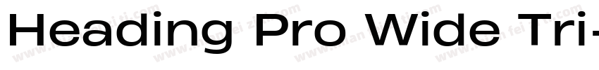 Heading Pro Wide Tri字体转换